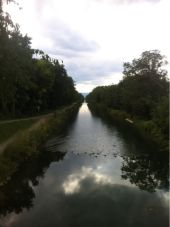 POI Artzenheim - Le canal de Colmar - Photo 1