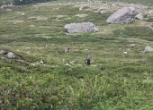 Point d'intérêt Ghisoni - Descente à travers le maquis - Photo 1