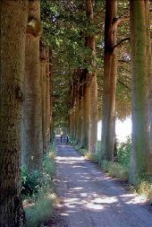 Punto de interés Oud-Heverlee - La forêt de Meerdael et le bois d’Heverlee - Photo 1