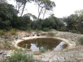 POI Saint-Guilhem-le-Désert - Lavogne - Photo 1