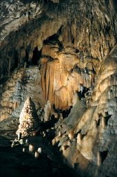 Point d'intérêt Rochefort - Domaine des Grottes de Han - Photo 2