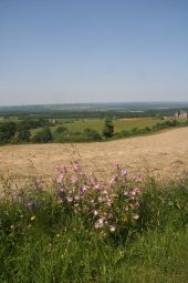 Point d'intérêt Beauraing - Vieille ferme - Panoramas - Photo 1