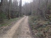 Point d'intérêt Genod - chemin typique de la randonnée - Photo 1