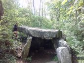 Punto di interesse Janville-sur-Juine - Dolmen de la pierre levée - Photo 1