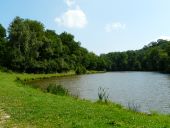 Point d'intérêt Sivry-Rance - Les nouveaux étangs d’Ostenne ou étangs communaux - Photo 1