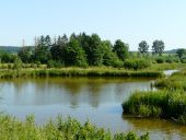 Point d'intérêt Sivry-Rance - L’étang du moulin - Photo 1