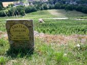 Point d'intérêt Château-Chalon - Point 34 - Photo 1