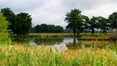 Point d'intérêt La Celle-sous-Gouzon - Point 5 - Photo 12