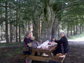 POI Lamazière-Haute - 2 - La Croix des 4 Arbres - Photo 1