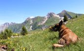 Point d'intérêt Glières-Val-de-Borne - Vue  - Photo 1