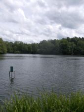 Point of interest Momignies - Les 3 etangs (The 3 lakes) - Photo 1