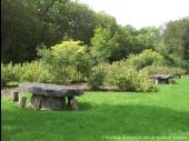 POI Nassogne - Picknick- en barbecueplaats - Photo 1