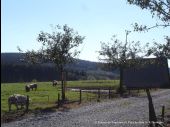 Punto di interesse Nassogne - Elevage de porcs des prairies d'Ardenne - Photo 2