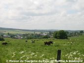 POI Marche-en-Famenne - Lieu-dit 'Le magnî' - Photo 1