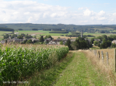 Punto di interesse Sainte-Ode - Panorama sur le village de Tillet - Photo 1