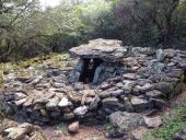 Point d'intérêt Anduze - Dolmen de Pallière - Photo 1