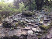 Point d'intérêt Anduze - Dolmen de Pallières - Photo 1