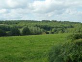 Point d'intérêt Saint-Paul-en-Gâtine - Des chemins champètres. - Photo 1