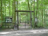 Point of interest Sivry-Rance - The Bois de Bruyère (Bruyère Wood) - Photo 1
