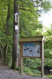 Point of interest Chimay - Bois de Blaimont (Blaimont Wood) - Photo 1