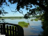 Point d'intérêt Chimay - L'étang de Virelles  - Photo 2