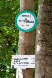 Point d'intérêt Obernai - Domaine de Truttenhausen - Photo 1