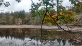 Point d'intérêt Dommartin-lès-Remiremont - Le Grand Etang - Photo 1