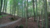 Point d'intérêt Uccle - Forêt de Soignes - Photo 1