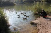 Punto di interesse Monieux - Le lac - Photo 1