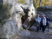 Punto di interesse Fontainebleau - 09 - l'Eléphant d'Apremont - Photo 1