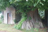 Punto di interesse Assesse - Chapelle Ste-Barbe et arbres remarquables - Photo 1