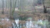 Punto de interés Saint-Nabord - Roches de Montiroche - Photo 1