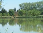 Punto di interesse Saint-Rémy-de-Provence - Lac de Barreau - Photo 1