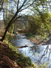 Point of interest Couvin - L'Eau Noire - Photo 1