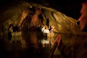 Punto di interesse Couvin - Les Grottes de Neptune dites de l'Adujoir - Photo 1