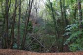 Point d'intérêt Couvin - La doline - Photo 1