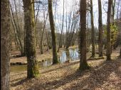 Point d'intérêt Vigeois - Ruisseau - Photo 1