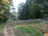 Punto de interés Lieja - Dans les bois du Sart Tilmant - Photo 1