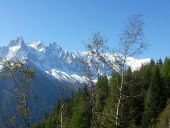 Point d'intérêt Chamonix-Mont-Blanc - panorama mt blanc - Photo 1
