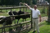 Point of interest Rochefort - The Doneu Ostrich Farm - Photo 1