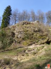 Punto de interés Tintigny - Le Gros Cron - Photo 1