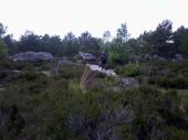 Point d'intérêt Arbonne-la-Forêt - 22 - Dans la lande du Rocher de la Reine, y a encore de beaux rochers - Photo 1