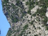 Punto de interés Riols - Point de vue sur le saut de Vésole - Photo 2