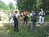 POI Poigny-la-Forêt - Carrefour d'Angennes - Photo 1