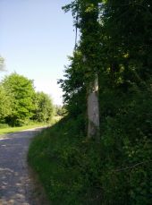 Point d'intérêt Beauvechain - Balisage (bientôt) caché par la végétation - Photo 1