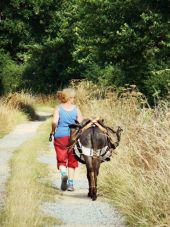 POI Nort-sur-Erdre - Le temps d'une balade les ânes du Biaù chemin - Photo 1