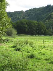 Point d'intérêt La Roche-en-Ardenne - Le site d'envol - Photo 1