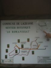 POI Lagrasse - sentier botanique - Photo 1