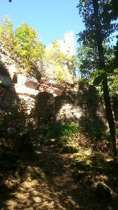 Point of interest Dambach - ruine du wineck - Photo 1