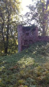 Point d'intérêt Reinhardsmunster - Chateau de l'Ochenstein - Photo 2